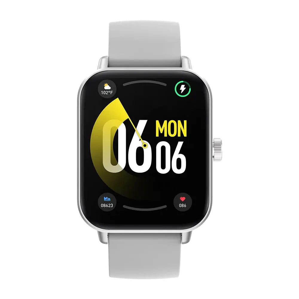 VoxTime P81