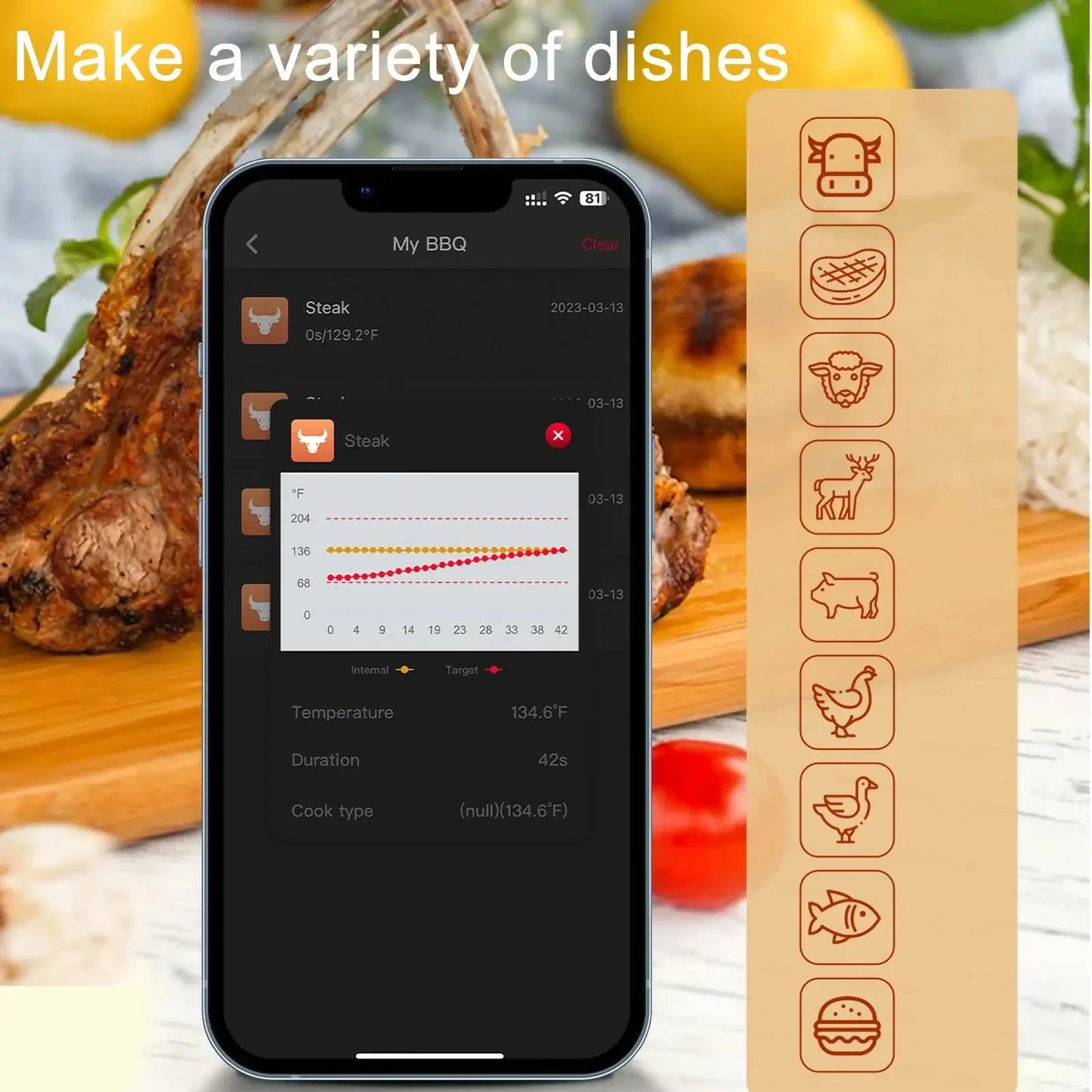 Wireless Meat Thermometer | Bluetooth BBQ Thermometer | ITECHΛHEAD