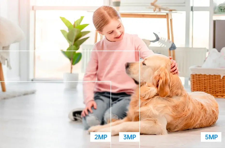 Girl playing with Golden Retriever dog indoors, showcasing pet companionship and home comfort.